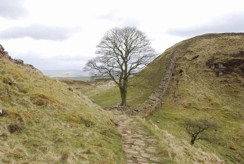 footpath, nature, grass, no people, tranquility, roman, Gap, trail, wall, plant, northumberland, beauty in nature, landmark, heritage, outdoors, tree, 4K