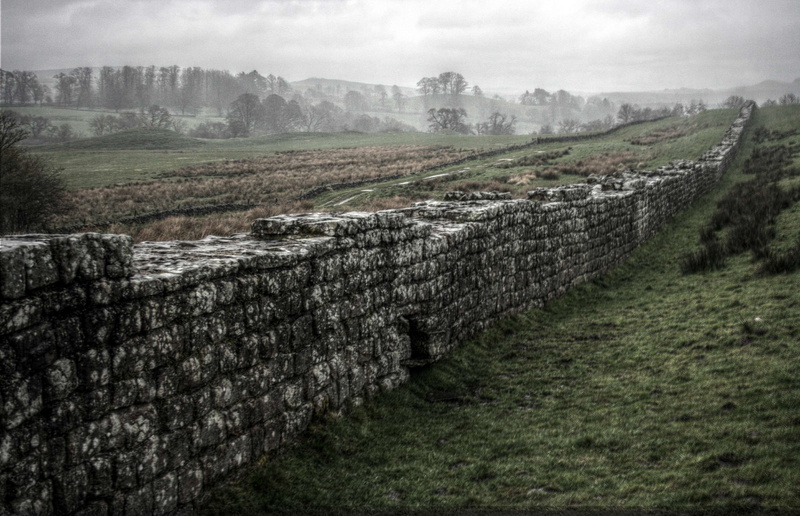 woods, sky, fog, stone wall, no people, cloud - sky, nature, grass, 4K, hadrians wall, beauty in nature, tree, tranquil scene, plant, environment, tranquility