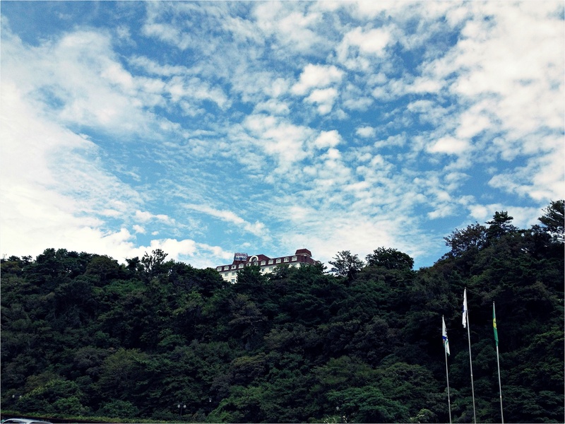 coniferous tree, photo, jeju, scenics - nature, green color, cloud - sky, growth, tranquility, cloud, 2K, outdoors, tranquil scene, sky, jeju island, nature