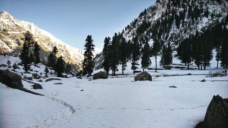 day, no people, winter, tree, outdoors, 4K, beauty in nature, tranquil scene, non-urban scene, field, trees, cold temperature, pakistan, kalam, scenics - nature