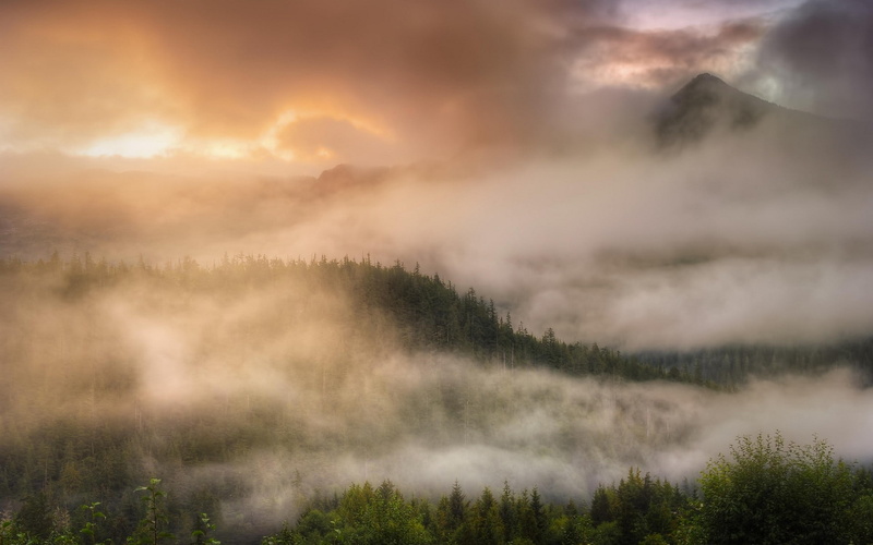 environment, mist, plant, tranquility, tranquil scene, sky, Alaska, outdoors, beauty in nature, cloud - sky, land, scenics - nature, idyllic, tree, pine tree