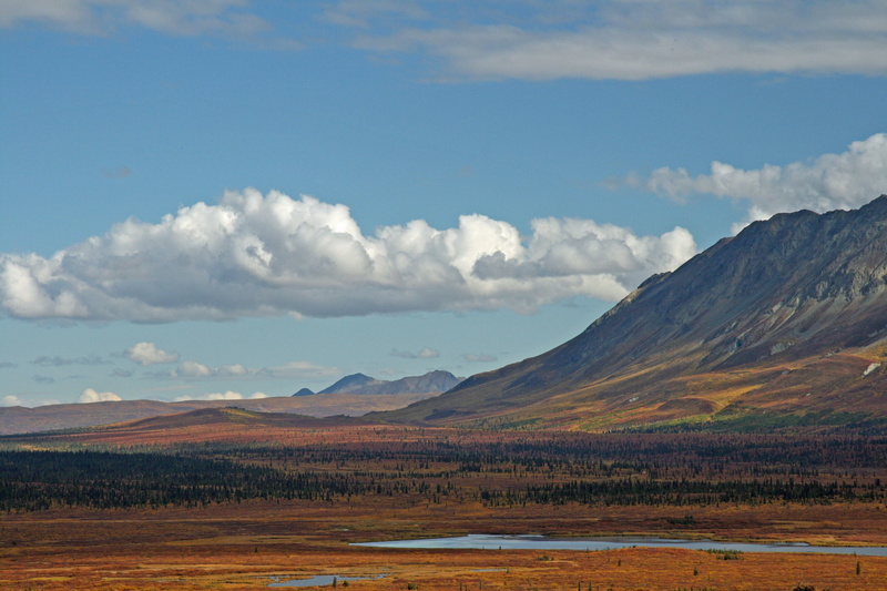 mountains, tranquility, trees, plants, no people, scenics - nature, pine, cloud - sky, tundra, Wilderness, outdoors, skies, landscape, travel destinations