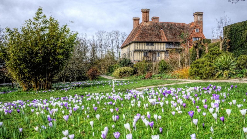 flowering plant, landscape, architecture, blossom, field, tourism, building, day, landscaped, scenics, history, tranquil Scene, purple, color Image, famous Place