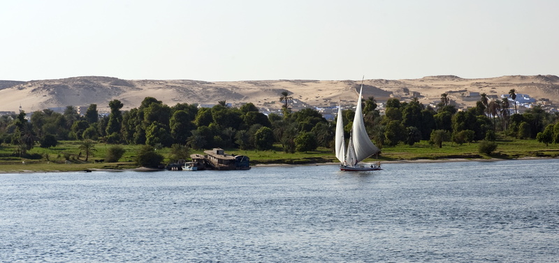 day, sail, sailboat, white, sand dunes, tourism, travel, near, outdoors, water, coniferous tree, river nile, sky, non-urban scene, egypt, tranquil, nature