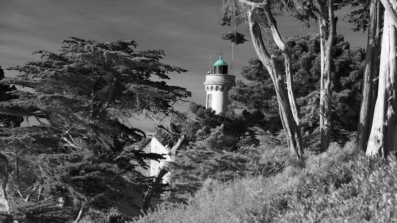 growth, no people, phare, day, travel destinations, tree, nature, architecture, 19 corniche de la mer, security, 5K, direction, lighthouse, building, guidance