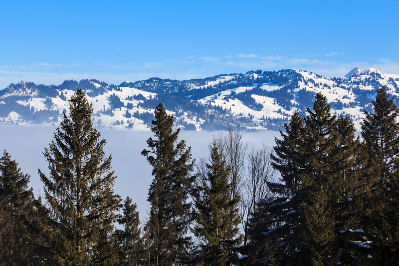 nature, no people, stoos, snowcapped mountain, snowy, pine tree, mountain, scenics - nature, white, swiss, beauty in nature, slope, plant, non-urban scene
