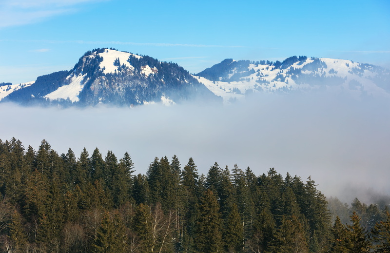 swiss alps, switzerland, alps, land, cloud, stoos, europe, slope, no people, snowcapped mountain, sky, swiss, scenics, pine tree, peak, cloud - sky, hill