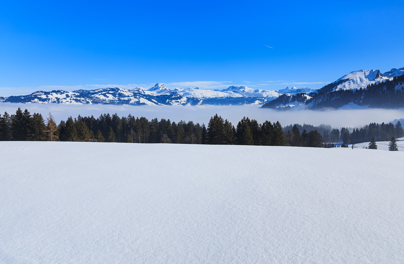 swiss alps, switzerland, cloud, mountain peak, nature, beauty in nature, woodland, view, trees, green, land, mountain, blue, schwyz, peak, tranquil scene