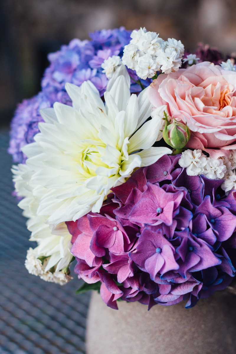 focus on foreground, multi colored, nature, hydrangea, get well soon, softness, 5K, all good, bunch of flowers, blue hydrangea, congratulations, selective