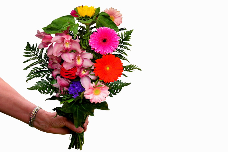 greeting card, fragility, beauty in nature, one person, finger, bouquet, birthday card, connectedness, petal, inflorescence, mothers day, love, 2K, get well soon