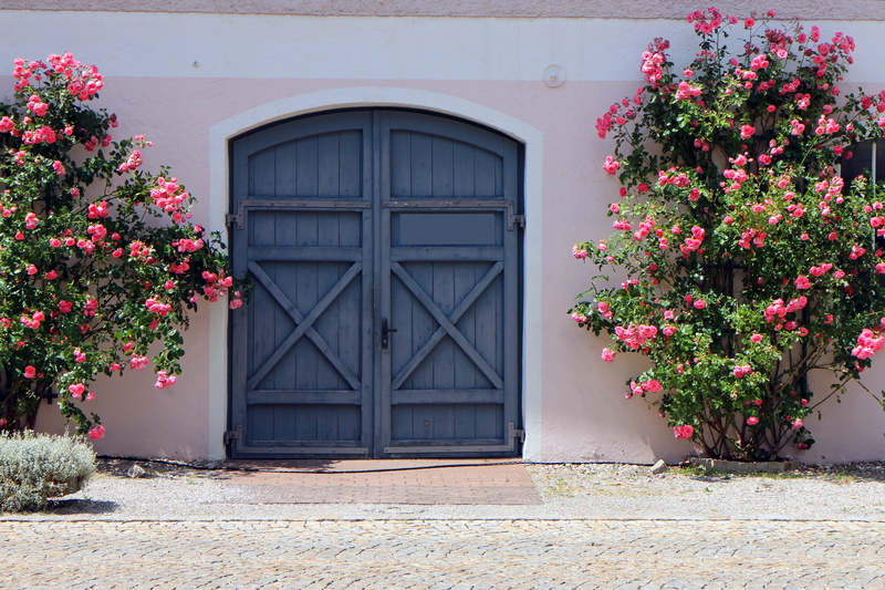 entrance, house, wooden, flower, built structure, climbing roses, nature, plant, goal, building, flower pot, building exterior, wood doors, 4K, day, no people