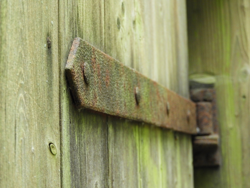 fence, boundary, rusty, wood - material, outdoors, safety, nail, 5K, metal, day, close-up, weathered, latch, focus on foreground, protection, selective focus