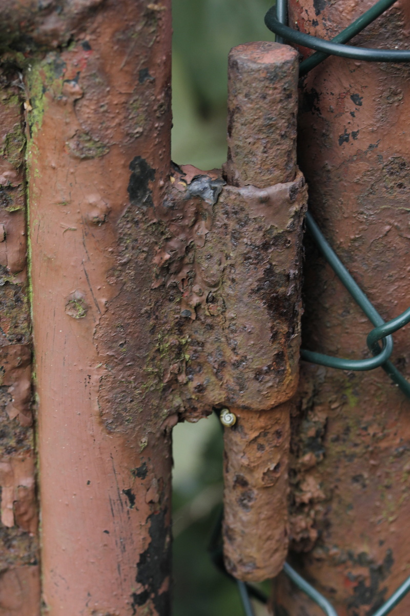 5K, rusted, security, stainless, damaged, close, fence, day, focus on foreground, rusty, weathered, bare, no people, hinge, protection, obsolete, welded