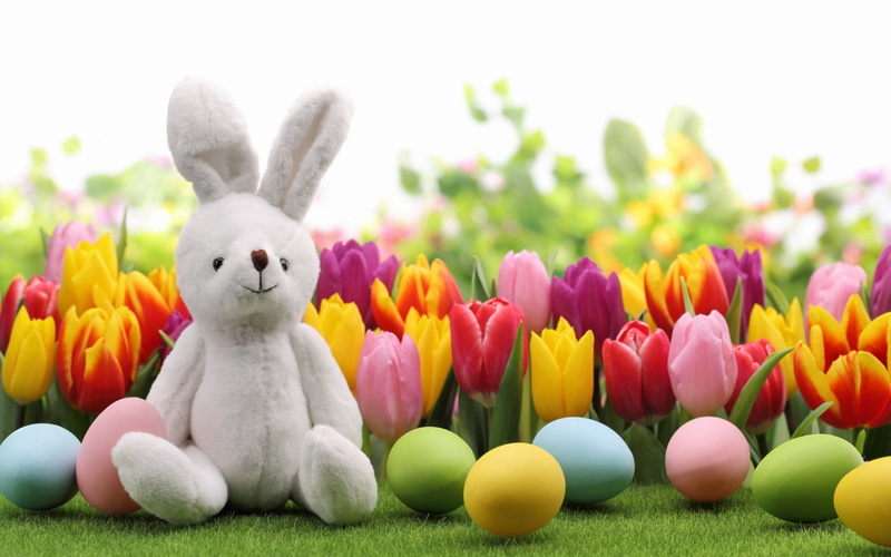 white, plush, wish, easter, happy, toy, rabbit, 1080P