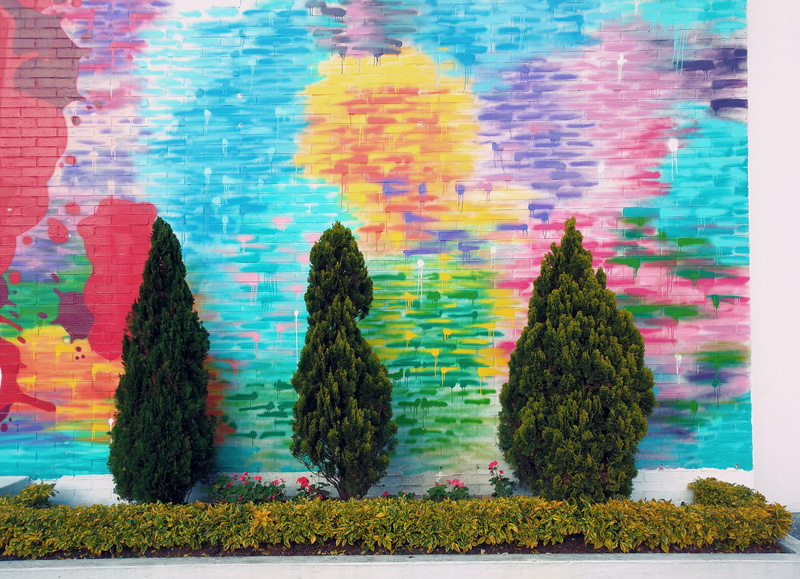 outdoors, choice, blue, day, paint, built structure, multi colored, tree, color, building, santa barbara occidental, pine, architecture, art and craft