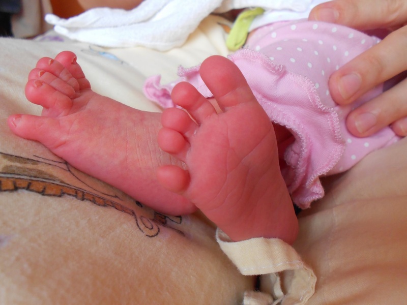 babyhood, human hand, close-up, legs, child, baby, human body part, two people, hand, newborn, indoors, young, innocence, real people, new life, barefoot