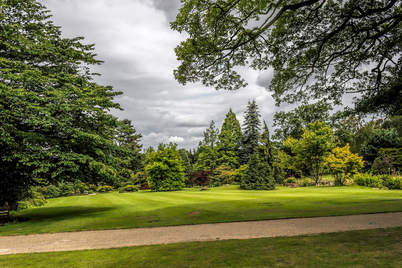 lawn, clouds, UK, Garden Harlow Carr, greens, Park, trees, the bushes, garden, 1080P, grass, track