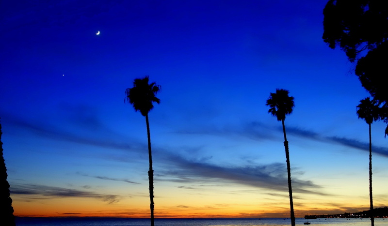 tranquil scene, sky, moon, 2K, silhouette, sea, beauty in nature, nature, light, tranquility, no people, low angle view, coconut palm tree, outdoors, blue
