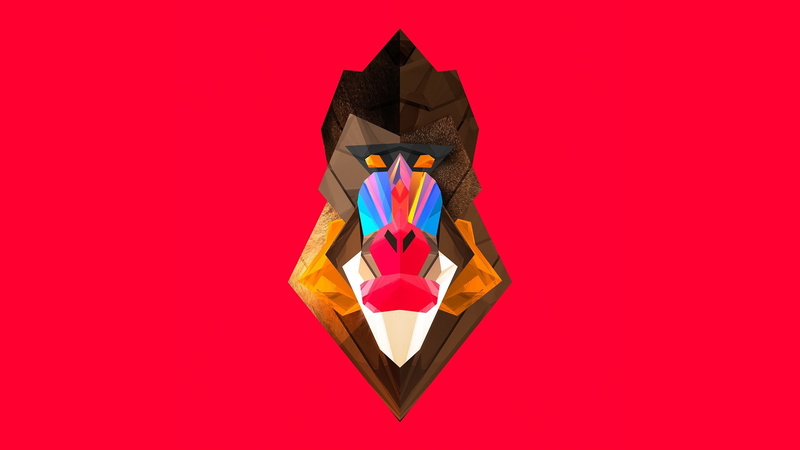 wealth, abundance, box - container, indoors, box, paper, colored background, studio shot, 2K, luxury, large group of objects, artwork animals monkeys digital art facets justin maller mandrill
