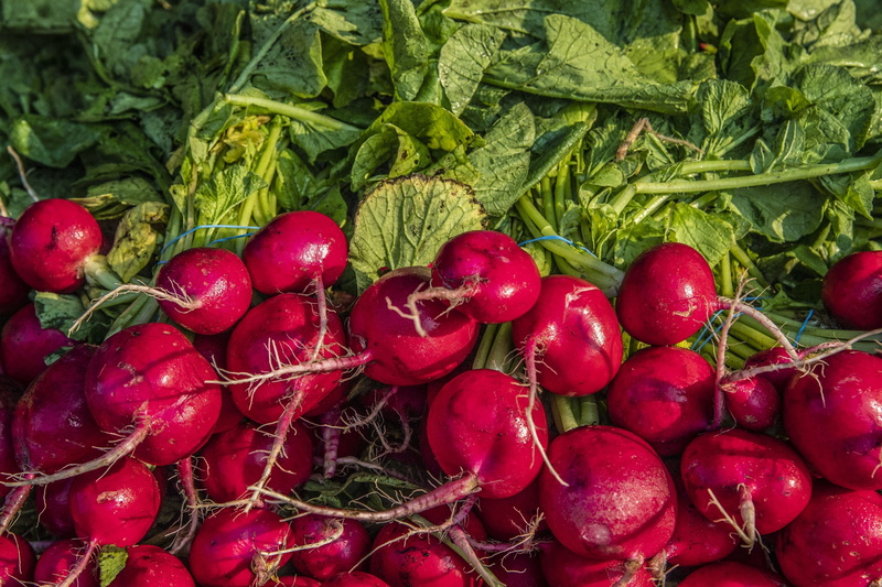 radish, day, large group of objects, root vegetable, vegetables, high angle view, harvest, roots, red, 2K, turnips, full frame, produce, fresh, beets