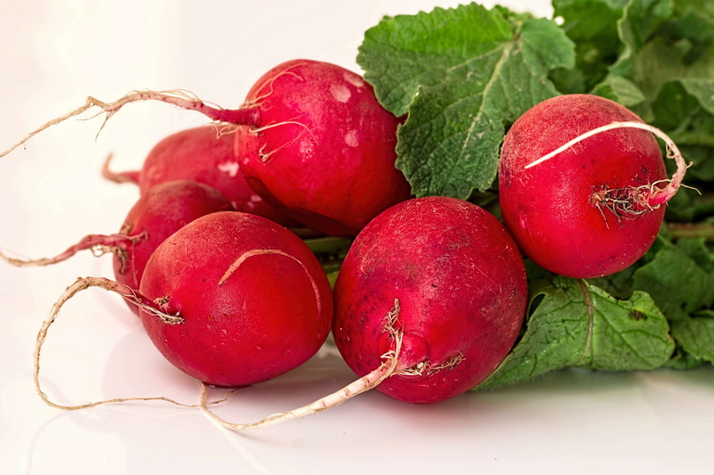 plant, red, crisp, no people, food, fruit, vegetable, 4K, close-up, natural, radish, vitamin, nature, organic, freshness, healthy, still life, cherry