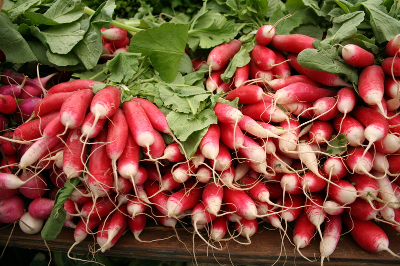 full frame, large group of objects, farmer, farmers, sale, radishes, red, food, wellbeing, abundance, farmers market, food and drink, radish, for sale