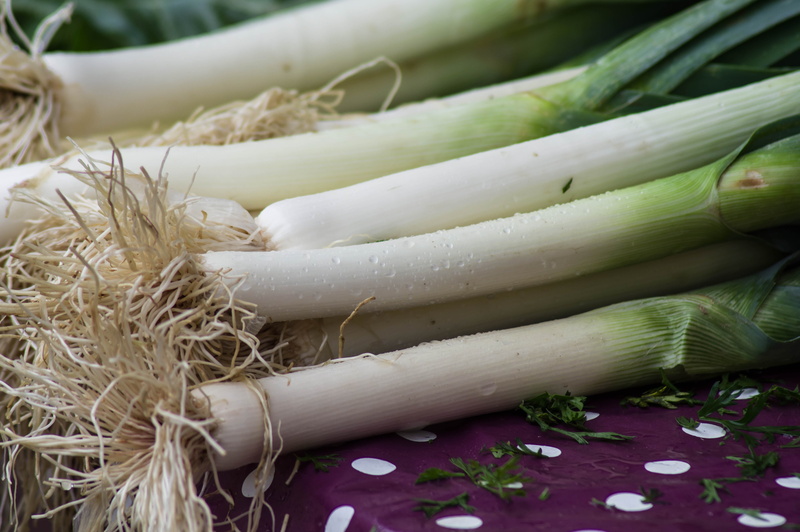 large group of objects, still life, indoors, healthy eating, wellbeing, raw food, garden, green color, 5K, freshness, food, onion, no people, selective focus