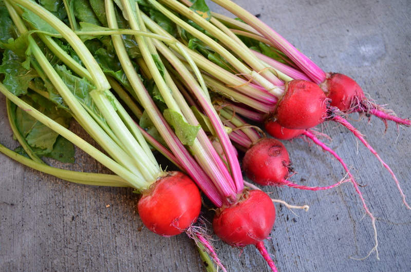 no people, natural food, Food, Harvest, root vegetable, multi colored, still life, high angle view, day, radish, Season, healthy Eating, green color, freshness