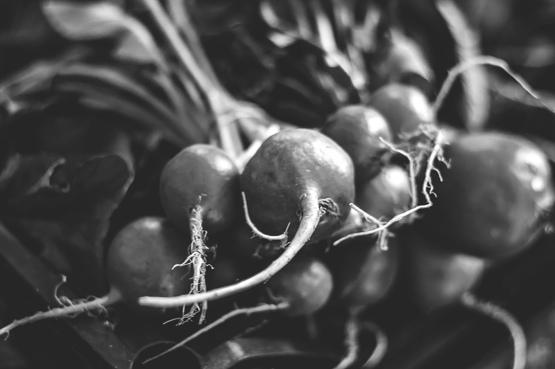 ripe, vegetables, close-up, leaf, focus on foreground, plant part, healthy eating, radishes, day, no people, vegetable, nature, freshness, garden, 5K