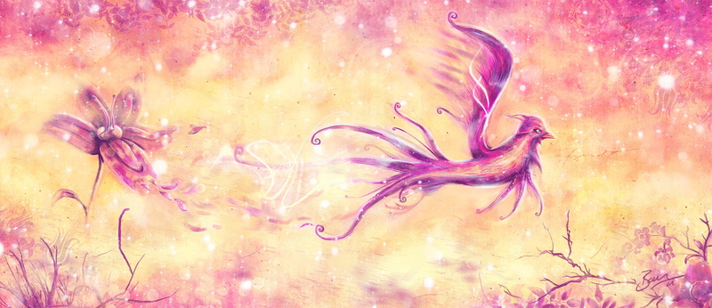 flying, Fly, 1080P, birds, wings