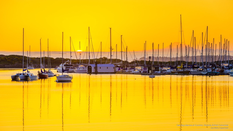 oak, Sunrises/Sunsets, columbia, british, marina, sunrise, bay, victoria, 2K
