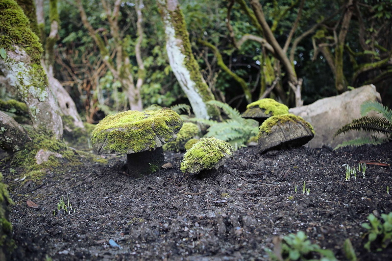 Canada, gardens, butchart, close-up, rock, selective focus, nature, tree, field, moss, dirt, plant, british columbia, beauty in nature, 1080P, forest