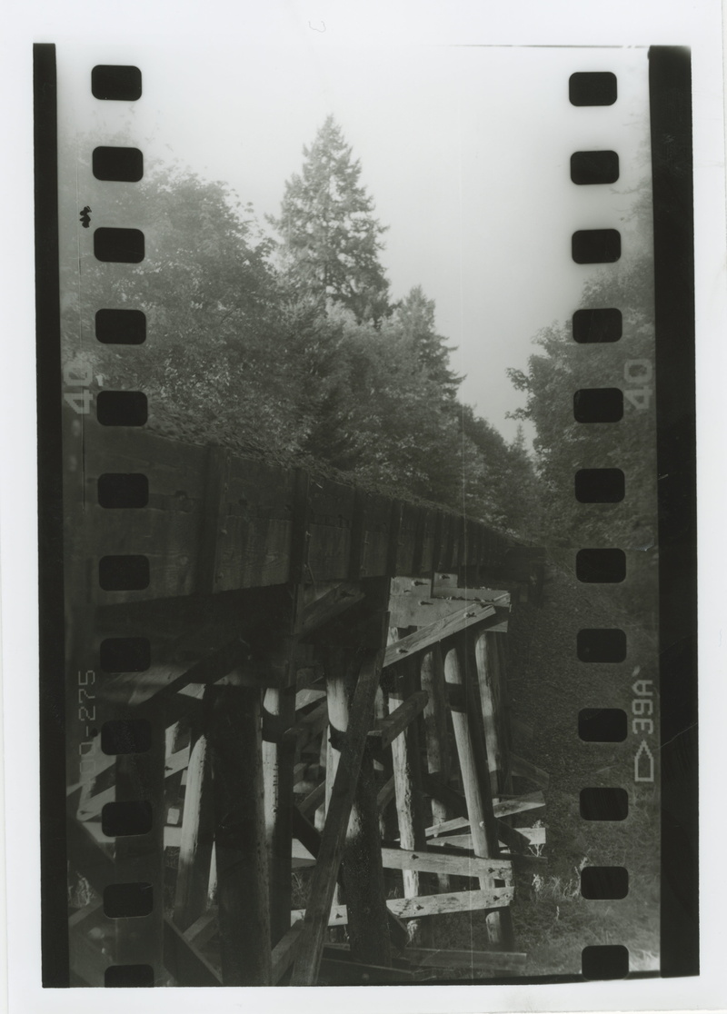 film, cold temperature, nature, tree, no people, transportation, transfer print, 5K, day, b w, vintage, winter, tracks, trestle, water, outdoors, connection
