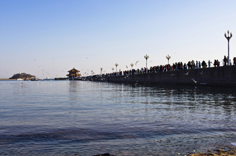 water, trestle, 5K, group of people, crowd, travel destinations, travel, real people, sea, beauty in nature, sky, day, beach, scenics - nature, waterfront
