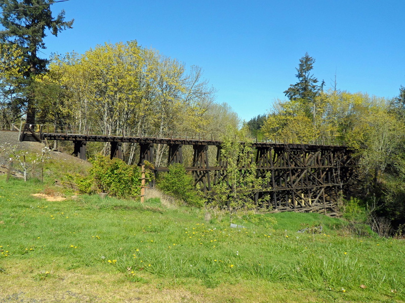 tree, grass, sky, tranquility, sunlight, land, 4K, green color, architecture, blue, day, landscape, built structure, train track trestle bridge, environment