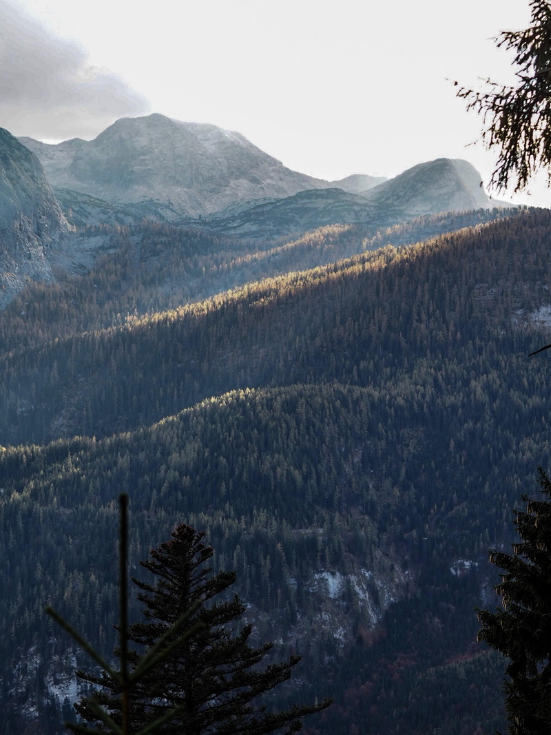 sky, highlight, outdoors, peak, trees, no people, halloween forest, outdoor, aerial, beauty in nature, tranquil scene, wanderlust, scenics - nature, light