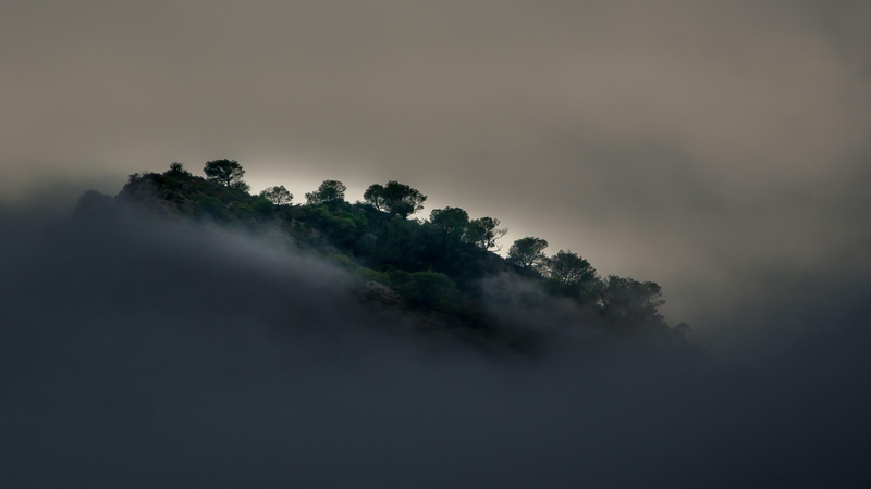 rainforest, cloudy, sky, fog, environment, 4K, scenics - nature, tranquility, mountain, non-urban scene, outdoors, tranquil scene, peak, misty, foliage