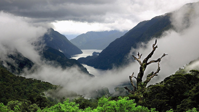 nature, valley, 1080P, landscape, 3d and abstract, misty, fog, mountains, scenery, mountain