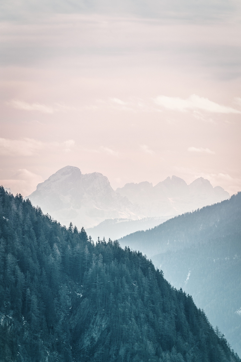 desktop, non-urban scene, plant, fog, nature, landscape, sky, mist, coniferous tree, green, foggy, tranquility