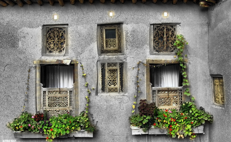 residential district, potted plant, outdoors, masuleh, masouleh, building, green, flower, day, flowering plant, closed, vine, architecture, House, 2K