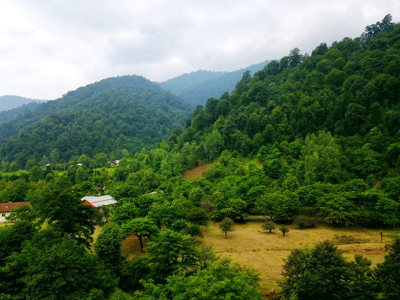 environment, cloud - sky, mountain, beauty in nature, plant, 4K, scene, green color, growth, iran, forest, nature, masouleh road, awesome, foliage, tree