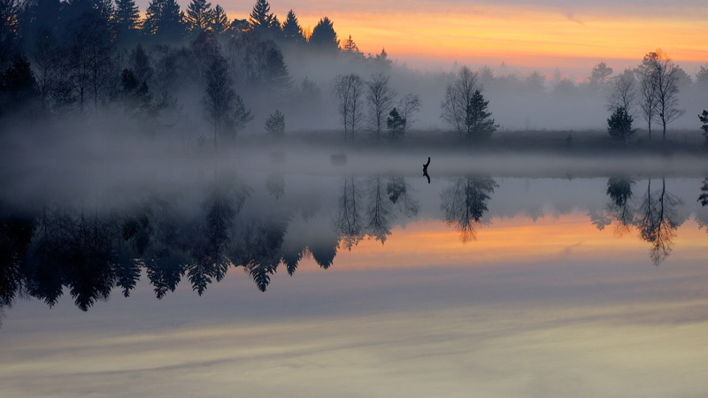 tranquility, idyllic, beauty in nature, tree, lake, fog, orange color, waterfront, landscape, hazy, trees, sky, outdoors, non-urban scene, water, scenics - nature