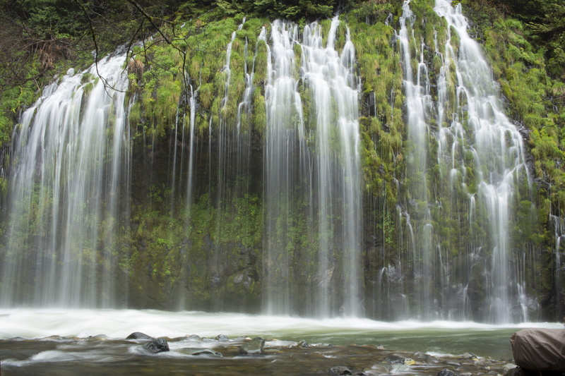 lost, waterfall, shasta, rainforest, plant, rock - object, water, environment, no people, long exposure, falling water, nature, power in nature, beauty in nature