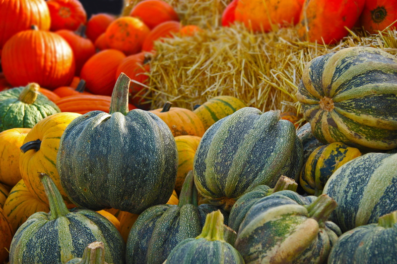 straw, ripe, large group of objects, variation, thanksgiving, vegetable, market stall, still life, wellbeing, healthy eating, consumerism, vegetables, squash