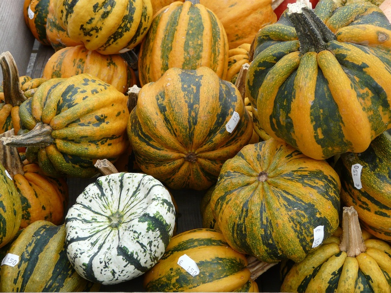 white, for sale, food, ripe, freshness, sale, pumpkin varieties, market, wellbeing, giant pumpkins, abundance, healthy eating, retail, food and drink, vegetables