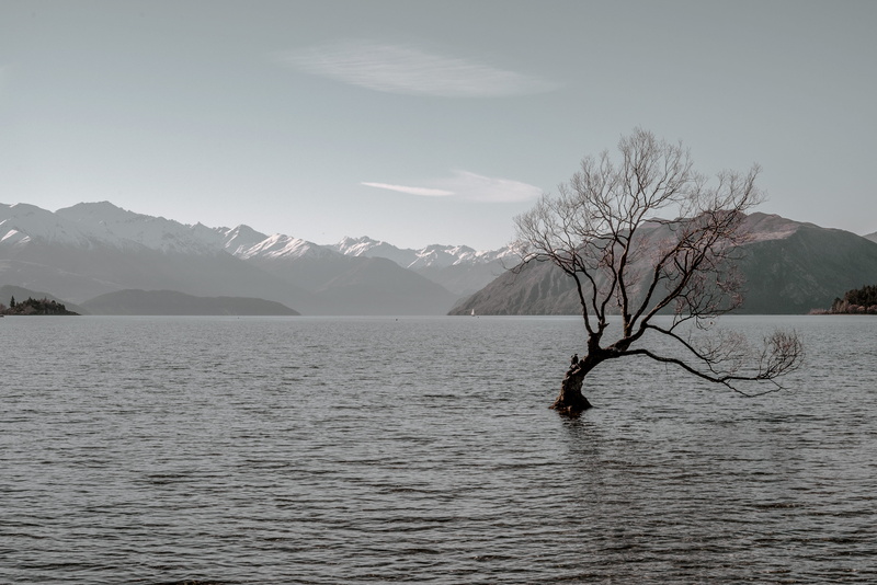 sky, lake, day, scenics - nature, background, view, tranquil scene, winter, scenic, new zealand, tree, mother nature, lone, beauty in nature, mountains