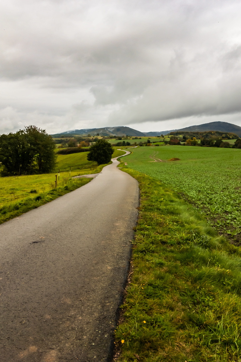 curvy, grass, scenics - nature, the way forward, tranquility, cycle path, cloudiness, outdoors, land, day, road, green color, tree, tranquil scene, field