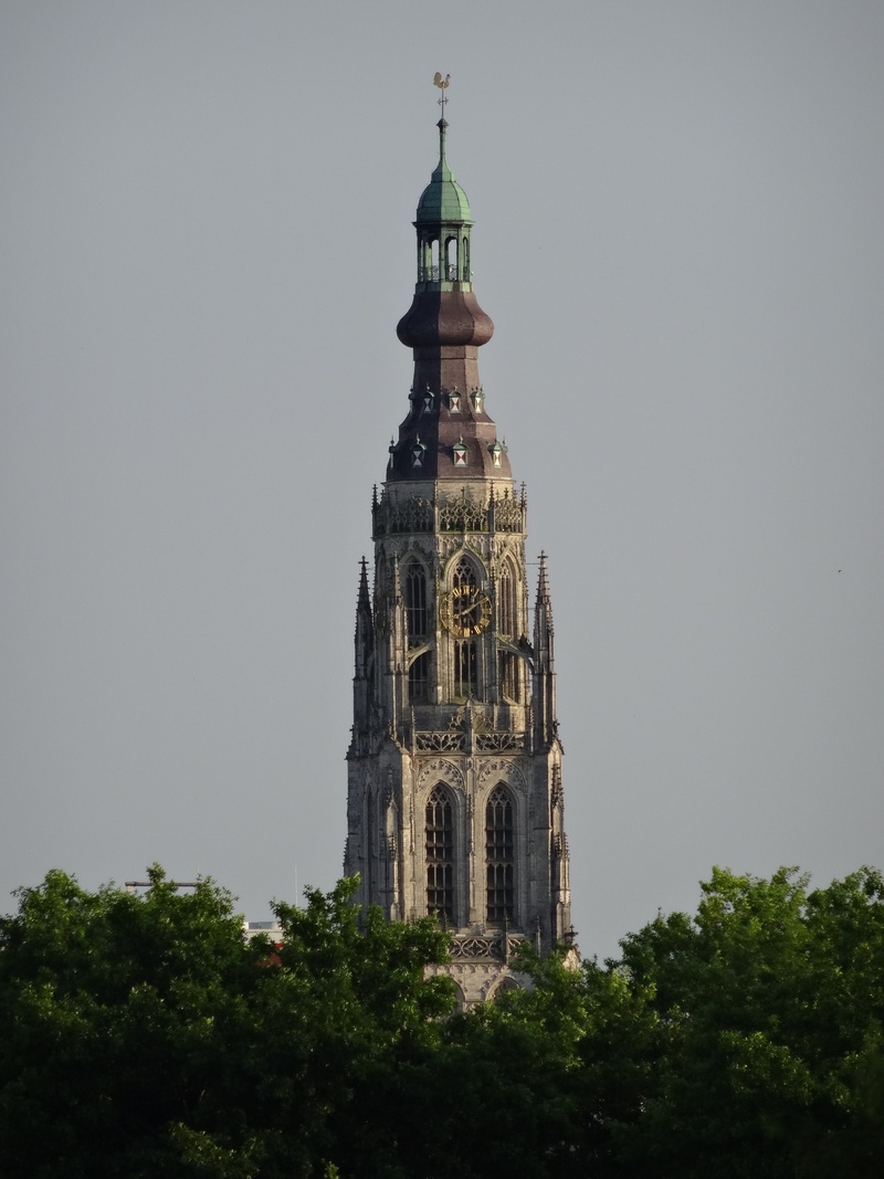 plant, tower, tree, famous, sky, spire, clear sky, landmark, low angle view, belief, copy space, tourism, no people, building exterior, religion, church