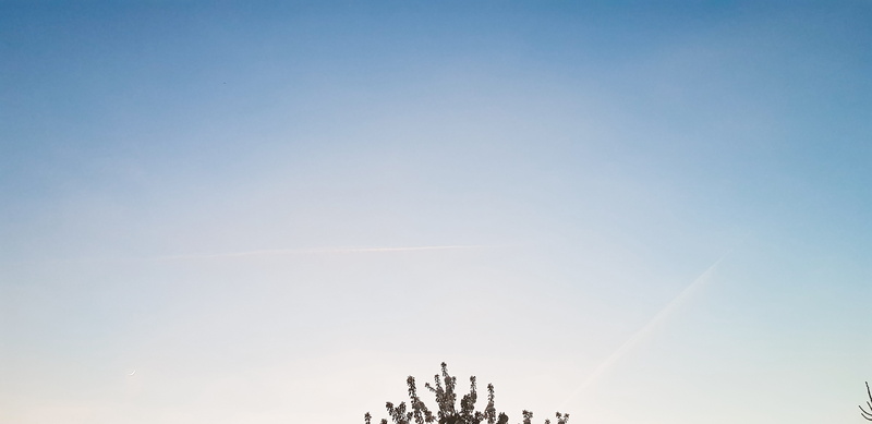 photography, awesome, beauty in nature, s8+, cyan, 5K, samsung, skull, airplane, full moon, plant, blue, stars, built structure, no people, evening, growth