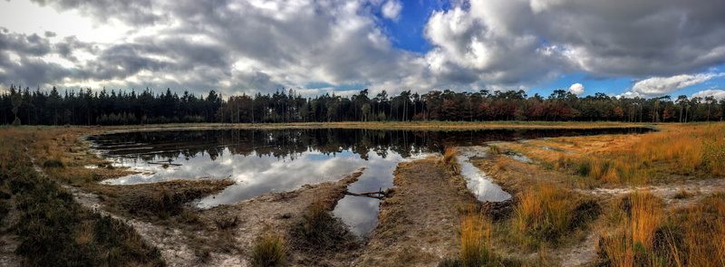 land, non-Urban Scene, nature, sky, river, cloudscape, panoramic, lake, Forest, blue, Breda, day, beauty In Nature, water, scenics, 4K, swamp, tranquil Scene